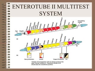 ENTEROTUBE II MULTITEST
SYSTEM
 