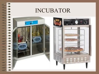 INCUBATOR
 