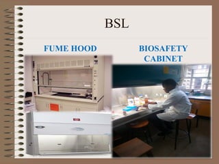 BSL
FUME HOOD BIOSAFETY
CABINET
 