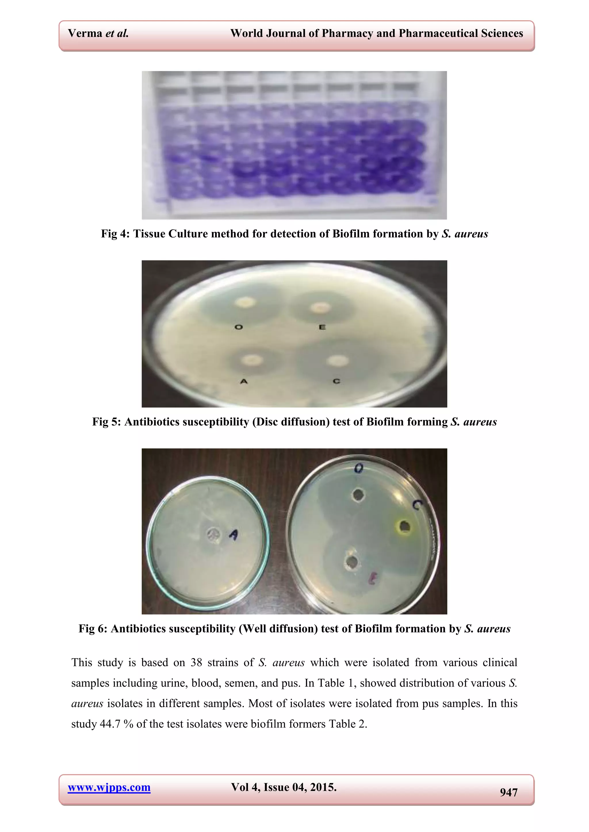 Clinical distribution of biofilm forming staphylococcus aureus and its ...