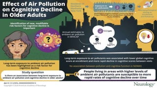 Clinical Effects of Air Pollution on the Central Nervous System | PPTX
