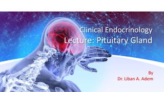 Clinical Endocrinology
Lecture: Pituitary Gland
By
Dr. Liban A. Adem
 