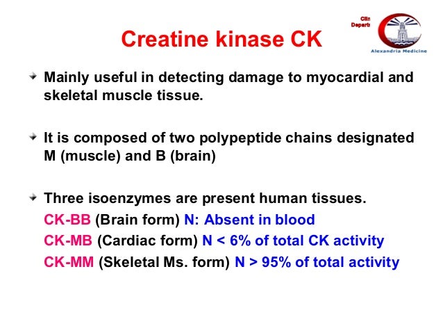 What is creatine kinase?