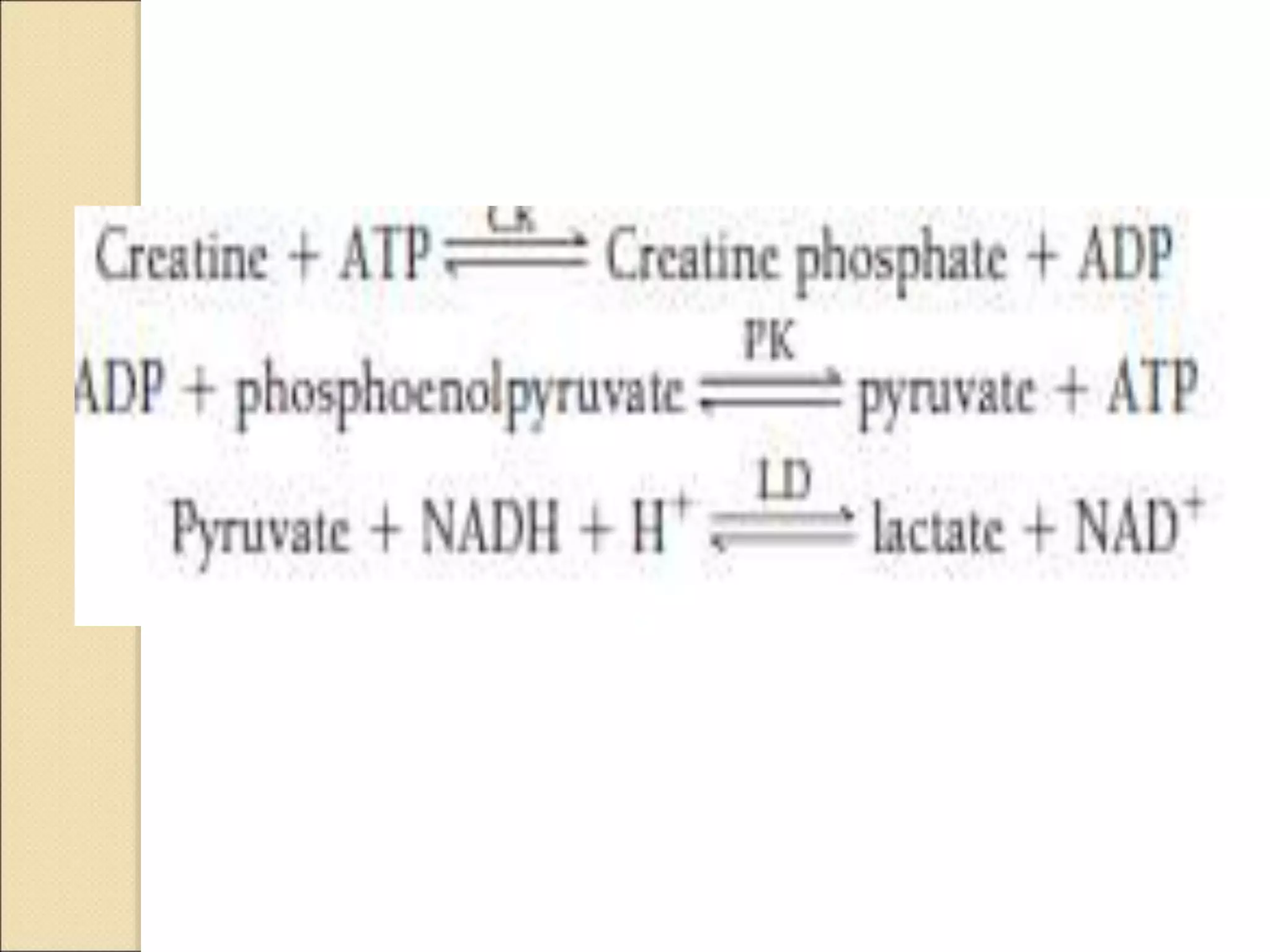 Clinical enzymology.ppt