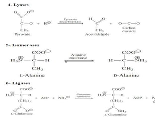 Clinical enzymology.ppt