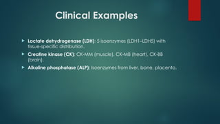 Clinical Examples
 Lactate dehydrogenase (LDH): 5 isoenzymes (LDH1–LDH5) with
tissue specific distribution.
‑
 Creatine kinase (CK): CK MM (muscle), CK MB (heart), CK BB
‑ ‑ ‑
(brain).
 Alkaline phosphatase (ALP): Isoenzymes from liver, bone, placenta.
 