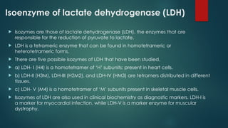 Isoenzyme of lactate dehydrogenase (LDH)
 Isozymes are those of lactate dehydrogenase (LDH), the enzymes that are
responsible for the reduction of pyruvate to lactate.
 LDH is a tetrameric enzyme that can be found in homotetrameric or
heterotetrameric forms.
 There are five possible isozymes of LDH that have been studied.
 a) LDH- I (H4) is a homotetramer of ‘H’ subunits; present in heart cells.
 b) LDH-II (H3M), LDH-III (H2M2), and LDH-IV (HM3) are tetramers distributed in different
tissues.
 c) LDH- V (M4) is a homotetramer of ‘M’ subunits present in skeletal muscle cells.
 Isozymes of LDH are also used in clinical biochemistry as diagnostic markers. LDH-I is
a marker for myocardial infection, while LDH-V is a marker enzyme for muscular
dystrophy.
 