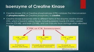 Isoenzyme of Creatine Kinase
 Creatine kinase (CK) or Creatine phosphokinase (CPK) catalyzes the interconversion
of phosphocreatine (or Creatine phosphate ) to creatine.
 Creatine kinase isoenzymes refer to different forms of the enzyme creatine kinase
(CK), which is found in various tissues, including skeletal muscle (CK-MM), cardiac
muscle (CK-MB), and brain (CK-BB), and can indicate tissue damage when elevated
in serum.
 