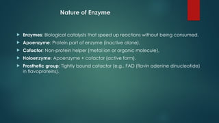 Nature of Enzyme
 Enzymes: Biological catalysts that speed up reactions without being consumed.
 Apoenzyme: Protein part of enzyme (inactive alone).
 Cofactor: Non protein helper (metal ion or organic molecule).
‑
 Holoenzyme: Apoenzyme + cofactor (active form).
 Prosthetic group: Tightly bound cofactor (e.g., FAD (flavin adenine dinucleotide)
in flavoproteins).
 