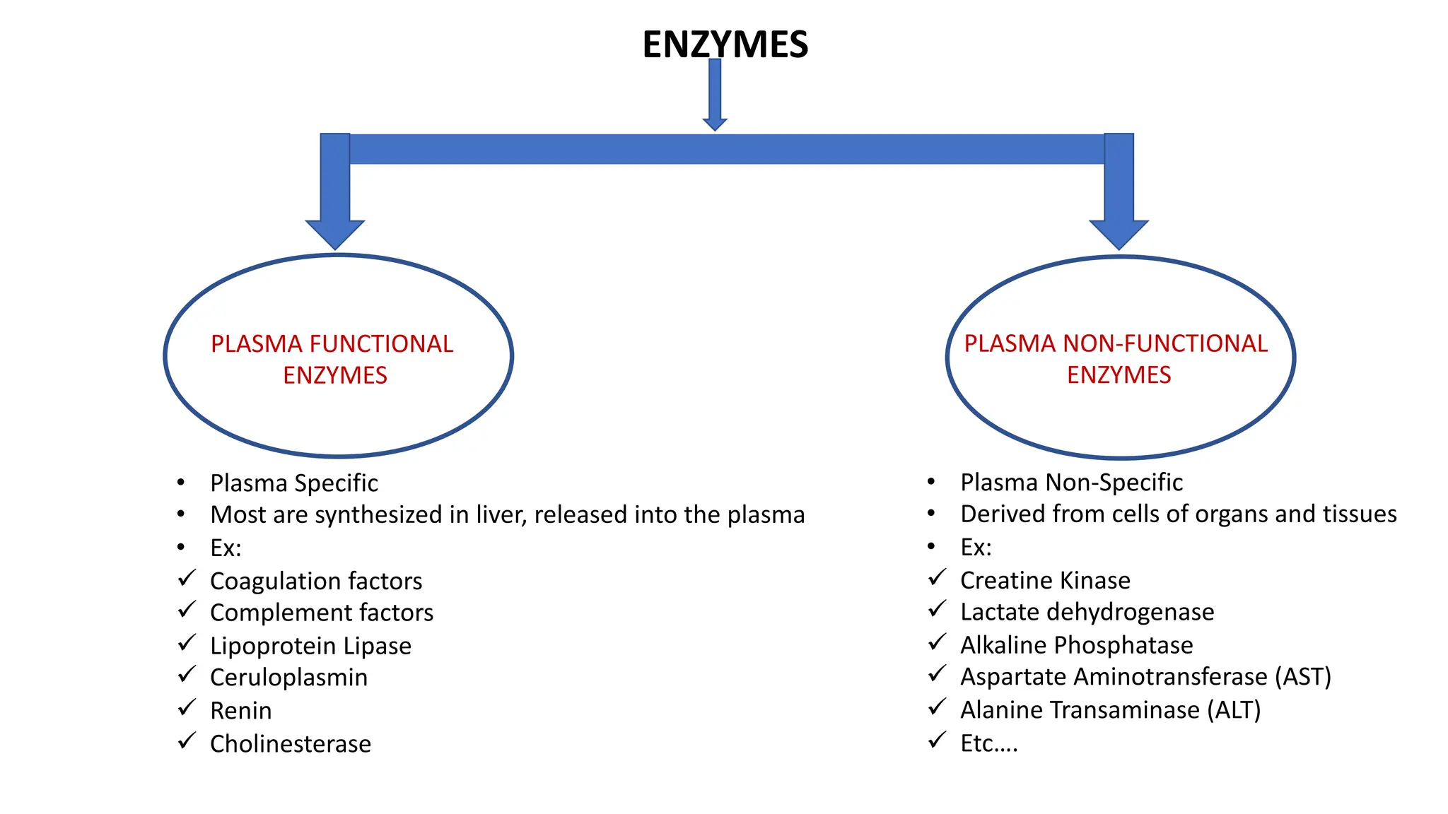 ENZYMES
PLASMA FUNCTIONAL
ENZYMES
PLASMA NON-FUNCTIONAL
ENZYMES
• Plasma Specific
• Most are synthesized in liver, released into the plasma
• Ex:
ü Coagulation factors
ü Complement factors
ü Lipoprotein Lipase
ü Ceruloplasmin
ü Renin
ü Cholinesterase
• Plasma Non-Specific
• Derived from cells of organs and tissues
• Ex:
ü Creatine Kinase
ü Lactate dehydrogenase
ü Alkaline Phosphatase
ü Aspartate Aminotransferase (AST)
ü Alanine Transaminase (ALT)
ü Etc….
 