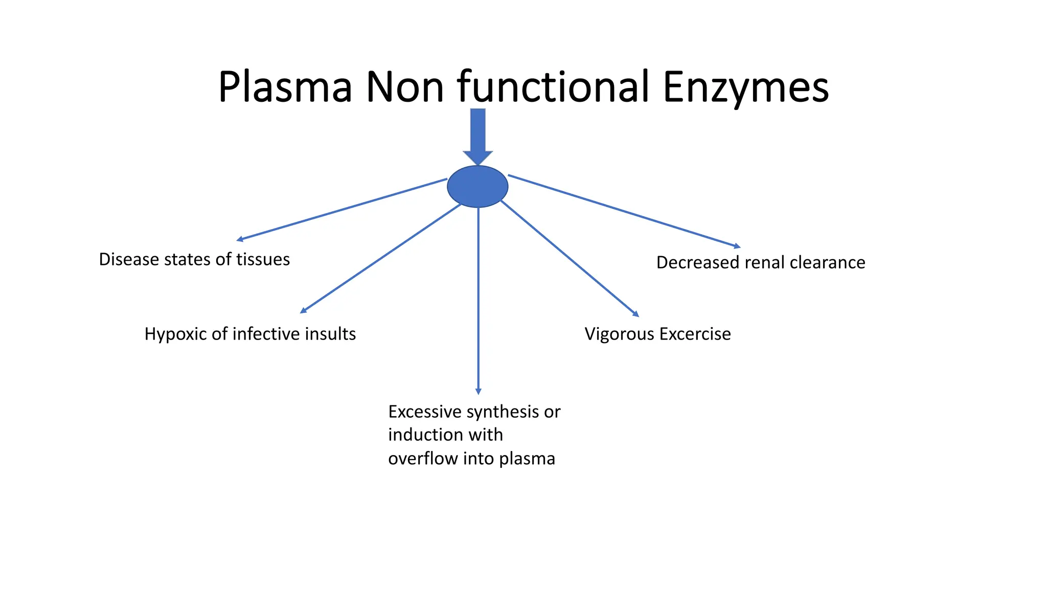 Plasma Non functional Enzymes
Disease states of tissues
Hypoxic of infective insults
Excessive synthesis or
induction with
overflow into plasma
Vigorous Excercise
Decreased renal clearance
 