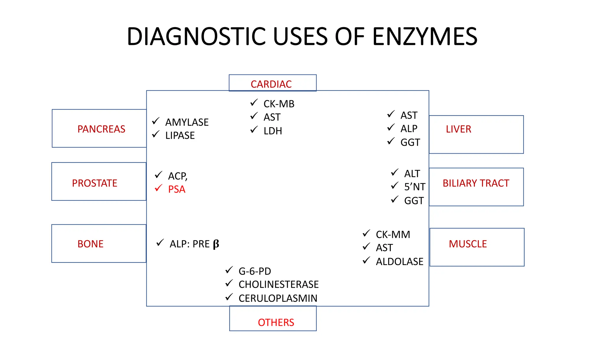 DIAGNOSTIC USES OF ENZYMES
CARDIAC
PANCREAS
PROSTATE
BONE
LIVER
BILIARY TRACT
MUSCLE
ü AMYLASE
ü LIPASE
ü ACP,
ü PSA
ü ALP: PRE !
ü CK-MB
ü AST
ü LDH
ü AST
ü ALP
ü GGT
ü ALT
ü 5’NT
ü GGT
ü CK-MM
ü AST
ü ALDOLASE
OTHERS
ü G-6-PD
ü CHOLINESTERASE
ü CERULOPLASMIN
 