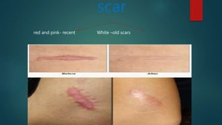 Clinical examination of abdomen medicine | PPTX