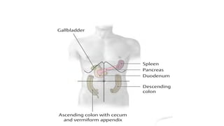 Clinical Examination of Abdomen for Medical Students.pptx