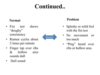 Fist Test Ruminant Clinical Examination of Bovines Basoc and Advance procedures | PPTX