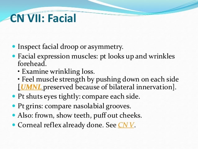 examination of cranial nerves pdf