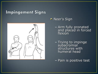 Clinical Examination Of Shoulder | PPT