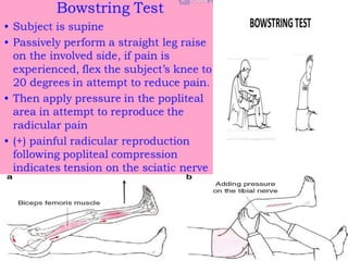 Clinical examination of spine | PPT