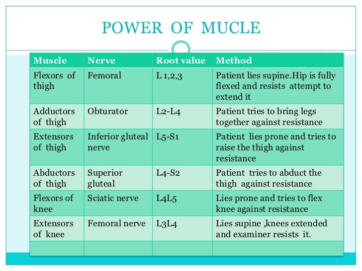 clinical-examination-paraplegia