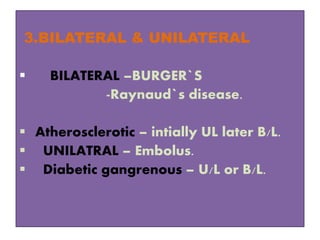 3.BILATERAL & UNILATERAL
 BILATERAL –BURGER`S
-Raynaud`s disease.
 Atherosclerotic – intially UL later B/L.
 UNILATRAL – Embolus.
 Diabetic gangrenous – U/L or B/L.
 