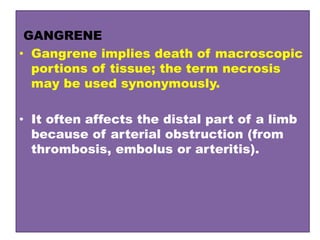 GANGRENE
• Gangrene implies death of macroscopic
portions of tissue; the term necrosis
may be used synonymously.
• It often affects the distal part of a limb
because of arterial obstruction (from
thrombosis, embolus or arteritis).
 