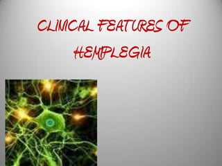 CLINICAL FEATURES OF
      HEMIPLEGIA
 