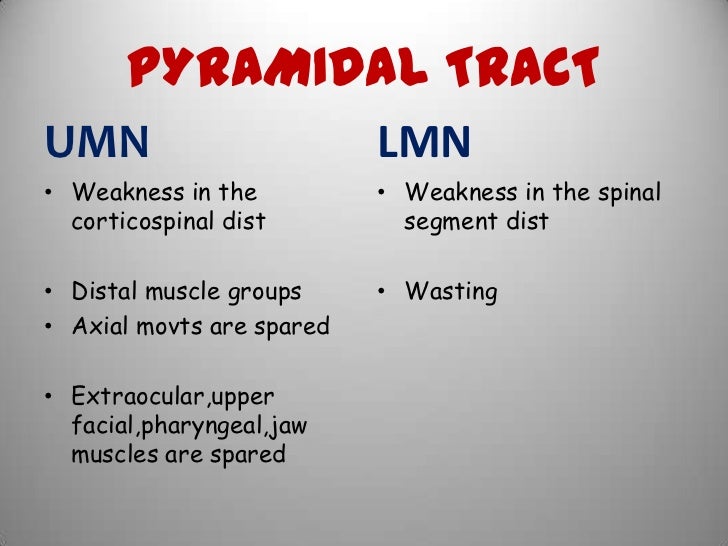 Clinical features of hemiplegia