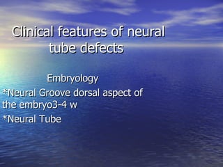Clinical features of neural tube defects  Embryology *Neural Groove dorsal aspect of the embryo3-4 w *Neural Tube  