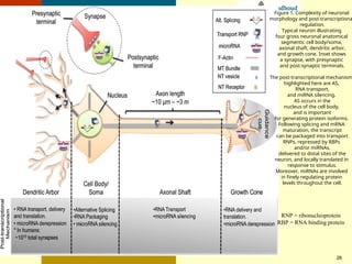 Comprehensive Introduction to Clinical Genetics and Molecular Biology | PPT