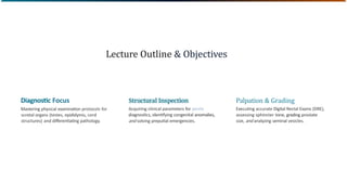 Dre Structure Comprehensive Physical Examination of the Male Genitourinary System ...