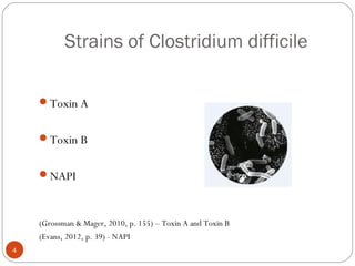 Strains of Clostridium difficile

    Toxin A


    Toxin B


    NAPI



    (Grossman & Mager, 2010, p. 155) – Toxin A and Toxin B
    (Evans, 2012, p. 39) - NAPI
4
 