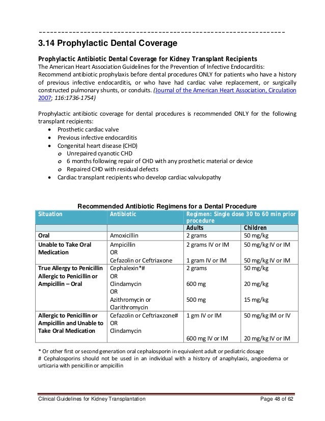 Renal Transplant Nutrition Guidelines Besto Blog