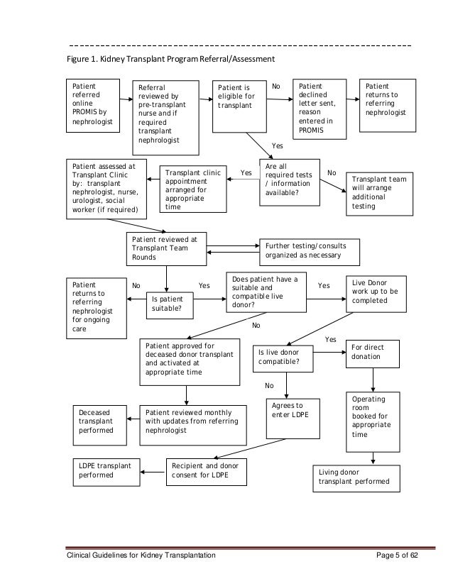 Clinical guidelines for kidney transplantation 0