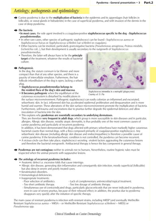 Clinical_Handbook_on_Canine_Dermatology.pdf