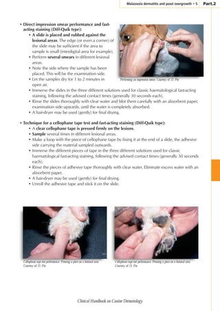 Clinical_Handbook_on_Canine_Dermatology.pdf