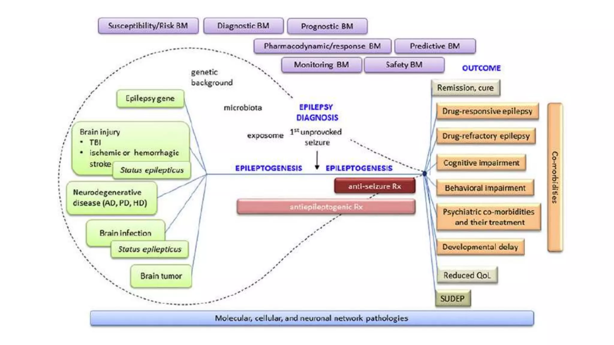 Clinical imaging and molecular biomarkers of drug resistant epilepsy.pptx