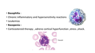 Clinical interpretation of cbc | PPTX