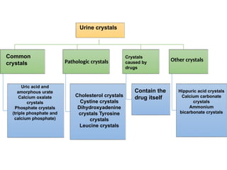 Clinical Laboratory Management (Practical) part 2nd | PPTX