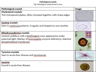 Clinical Laboratory Management (Practical) part 2nd | PPTX