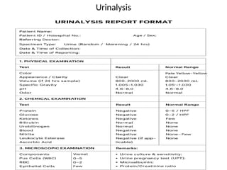 Urinalysis
 