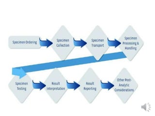 Clinical laboratory workflow - 9.pptx