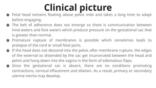 Clinical picture
● Fetal head remains floating above pelvic inlet and takes a long time to adapt
before engaging.
● The belt of adherence does not emerge so there is communication between
hind waters and fore waters which produce pressure on the gestational sac that
is greater than normal.
● Premature rupture of membranes is possible which sometimes leads to
prolapse of the cord or small fetal parts.
● If the head does not descend into the pelvis after membrane rupture, the edges
of the external os distended by the sac get incarcerated between the head and
pelvis and hang down into the vagina in the form of edematous flaps.
● Since the gestational sac is absent, there are no conditions promoting
contractions, cervical effacement and dilation. As a result, primary or secondary
uterine inertia may develop.
 