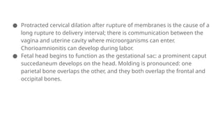 ● Protracted cervical dilation after rupture of membranes is the cause of a
long rupture to delivery interval; there is communication between the
vagina and uterine cavity where microorganisms can enter.
Chorioamnionitis can develop during labor.
● Fetal head begins to function as the gestational sac: a prominent caput
succedaneum develops on the head. Molding is pronounced: one
parietal bone overlaps the other, and they both overlap the frontal and
occipital bones.
 