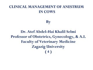 CLINICAL MANAGEMENT OF ANESTRUM
IN COWS
By
Dr. Atef Abdel-Hai Khalil Selmi
Professor of Obstetrics, Gynecology, & A.I.
Faculty of Veterinary Medicine
Zagazig University
( 4 )
 