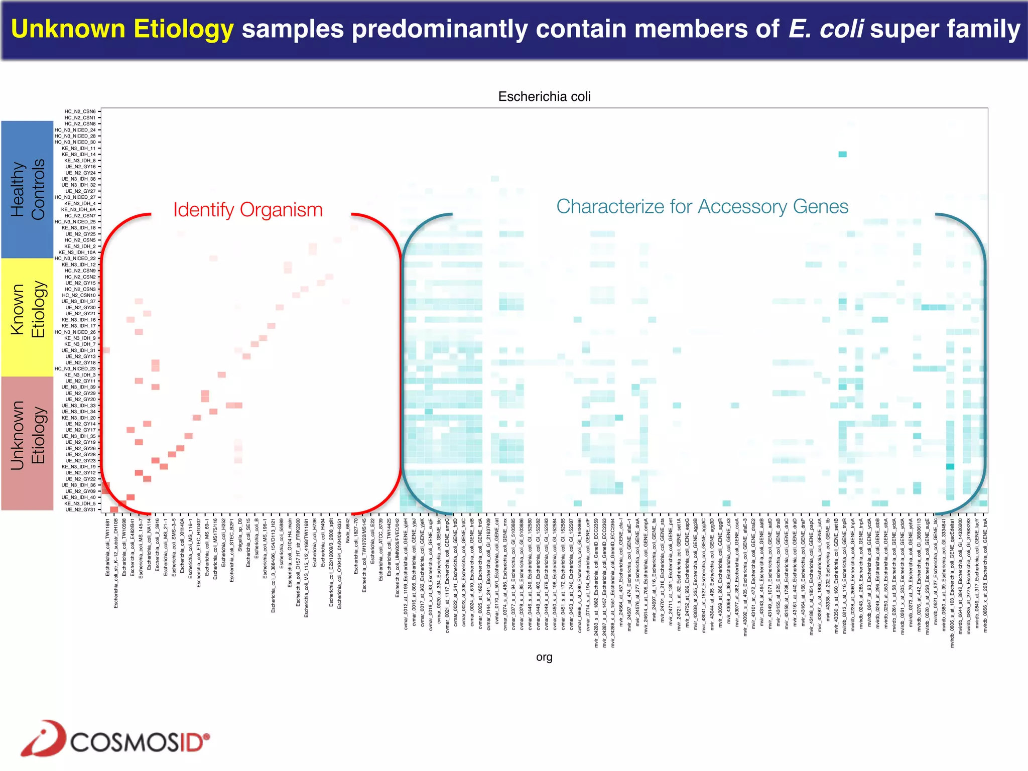 Clinical Metagenomics for Rapid Detection of Enteric Pathogens and ...