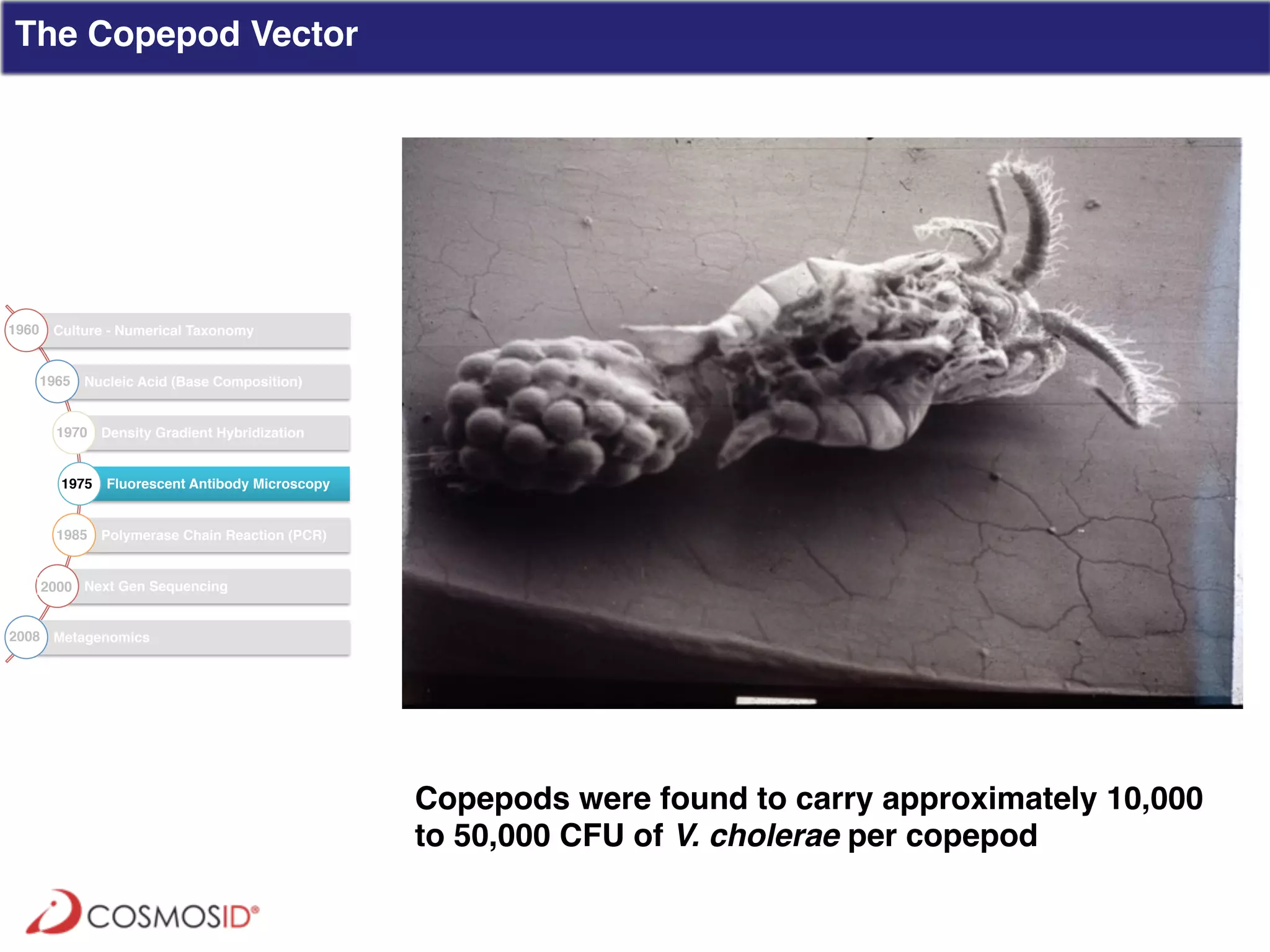 Clinical Metagenomics for Rapid Detection of Enteric Pathogens and ...