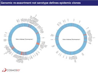 Clinical Metagenomics for Rapid Detection of Enteric Pathogens and ...