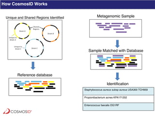 Clinical Metagenomics for Rapid Detection of Enteric Pathogens and ...