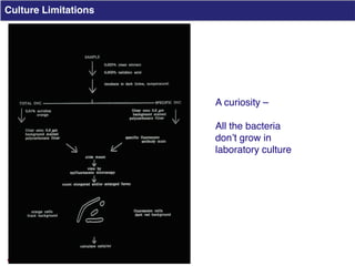 Clinical Metagenomics for Rapid Detection of Enteric Pathogens and ...