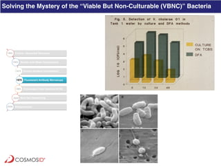 Clinical Metagenomics for Rapid Detection of Enteric Pathogens and ...